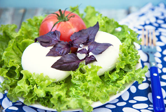 Homemade Mozzarella Cheese